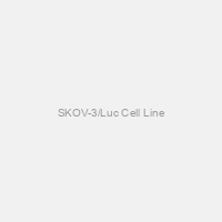 SKOV-3/Luc Cell Line